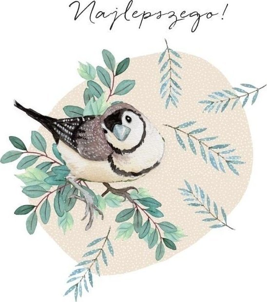 Karnet Swarovski kwadrat CL4503_PO Najlepszego!