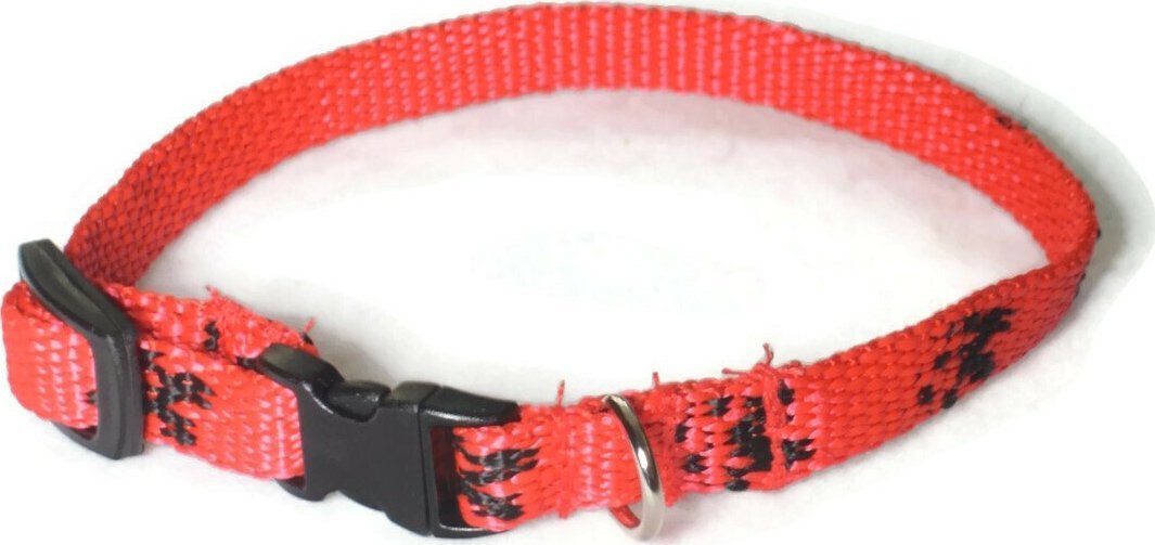 Alizoo Obroża w łapki dla małego psa 10mm/18-29cm - ALIZOO