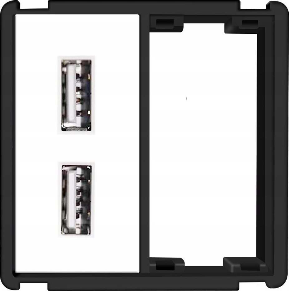 RTX Gniazdko Ścienne Moduł Usb 2x 2,4a System RTX SH