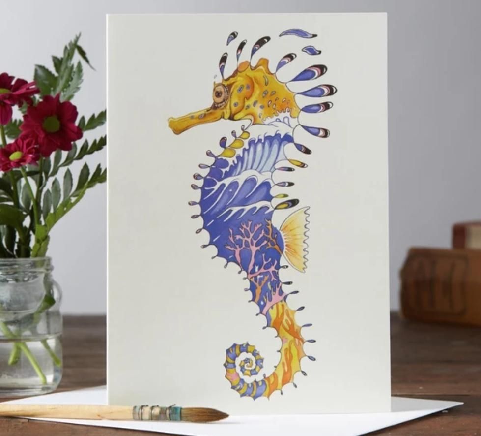 DM Collection Karnet A037 B6 + koperta Konik morski