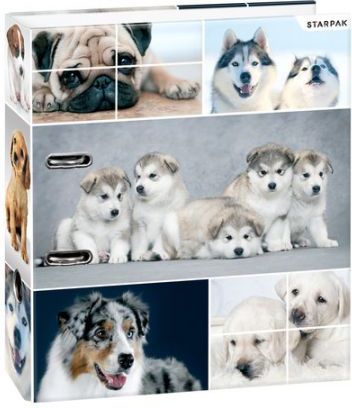 Segregator Starpak dźwigniowy A4 70mm (STK PSY A4)