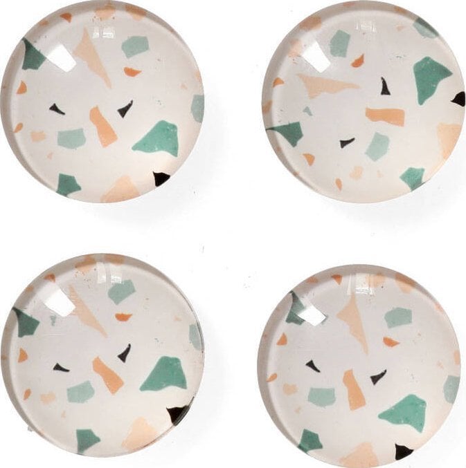 Zeller Zestaw magnesów ozdobnych, 4 sztuki, Ø 2,5 cm