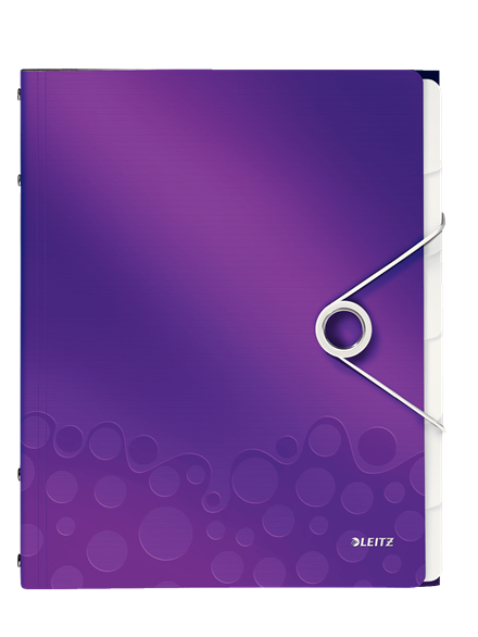 Leitz TECZKA SEGREGUJĄCA 6 PRZEKŁADEK WOW (46330062)