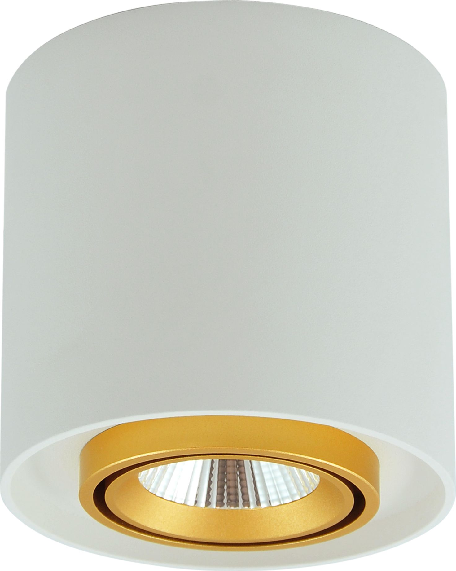 Lampa sufitowa Polux Oprawa sufitowa okrągła biała Polux XENO ledowa 312037