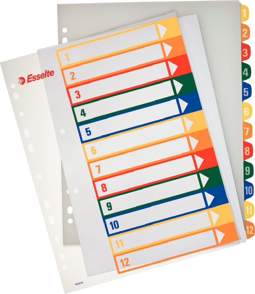 Esselte Przekładki do nadruku Maxi A4 1-12 (100214)