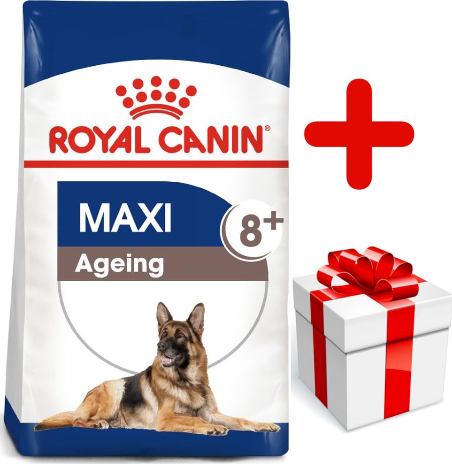 Royal Canin ROYAL CANIN Maxi Ageing 8+ 15kg karma sucha dla psów dojrzałych, po 8 roku życia, ras dużych + niespodzianka dla psa GRATIS!
