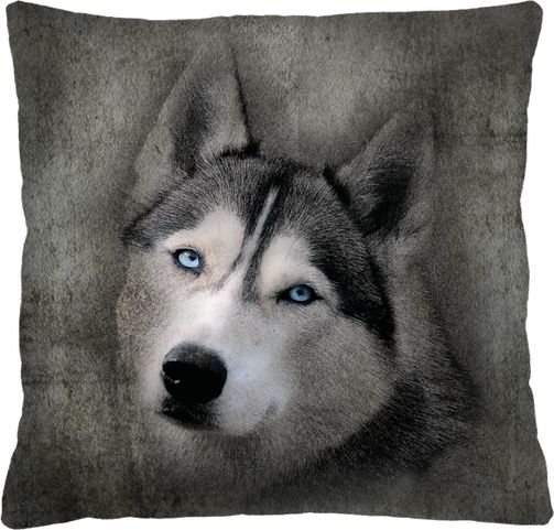 Arco PODUSZKA 40X40 HUSKY
