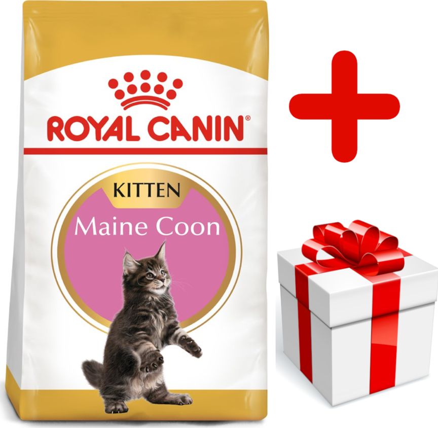 Royal Canin ROYAL CANIN Maine Coon Kitten 10kg + niespodzianka dla kota GRATIS!