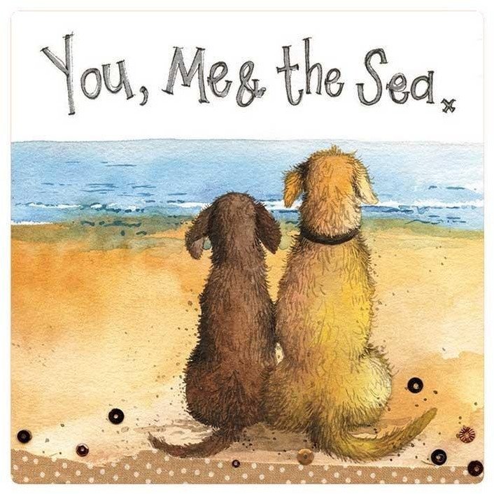 Magnes FM231 Ty, ja i morze