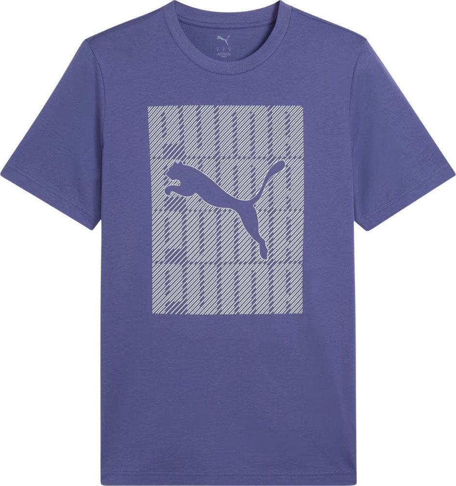 Koszulka męska Puma Graphics Wording Tee niebieska 684825 46 M