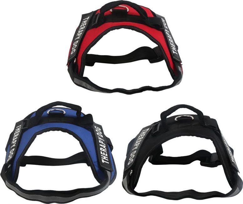 Nobleza Czarna uprząż/szelki Czarna uprząż/szelki