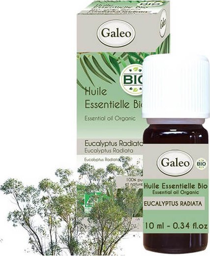Galeo Olejek eteryczny BIO z eukaliptusa australijskiego Galeo 10 ml