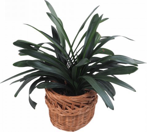 Wnuk Osłona na donicę (Ażur/Naturalna/32cm)