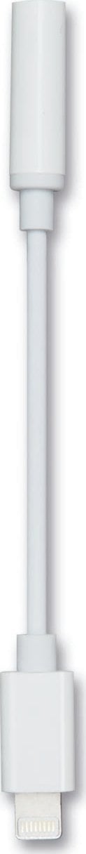 2GO 2GO Audio-Adapter Stereo Lightning 20cm weiß