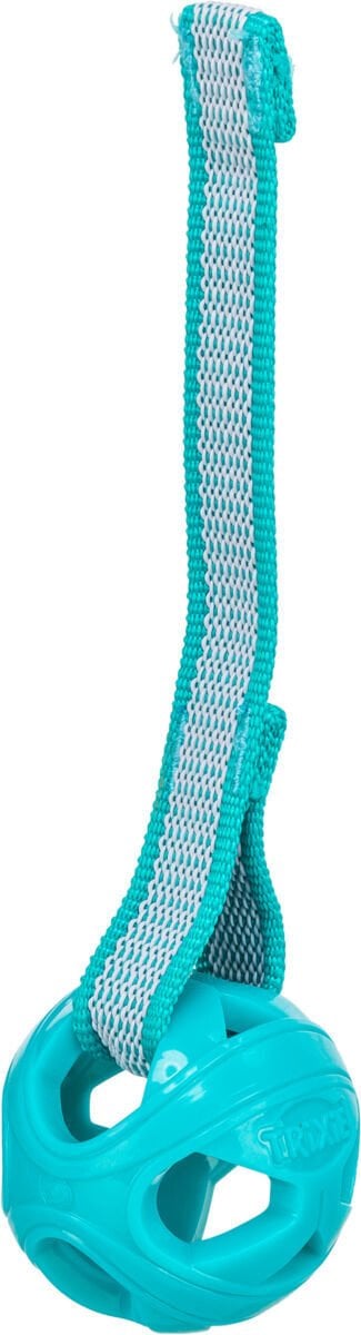 Piłka z otworami na sznurku, zabawka, dla psa, TPE/poliester/guma, 6 cm