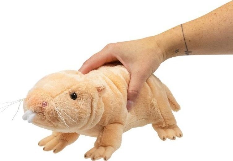 Pluszowy Golec Piaskowy