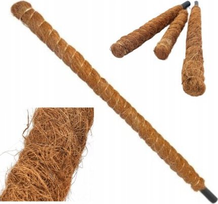 Rim Palik kokosowy podpora do roślin Eko 60 cm