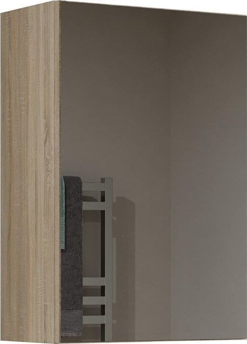 Topeshop Szafka wisząca do łazienki, lustro, Pola, 40x22x60 cm, dąb sonoma, mat