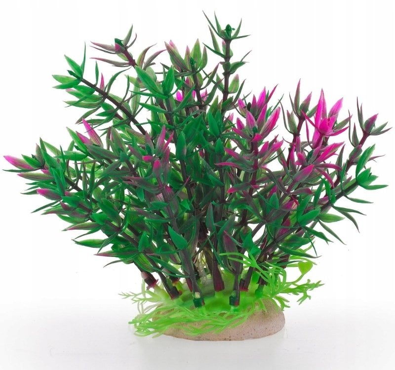 Terra Natura Aqua Natura, roślina do dekoracji akwarium, zielona, plastikowa, 12 cm, z różowymi pędami