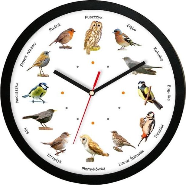 Atrix Zegar z głosami ptaków Atrix ATE2013PK3 B SW 30 cm uniwersalny