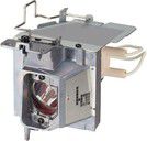 Lampa MicroLamp 195W, do NEC (ML12618)