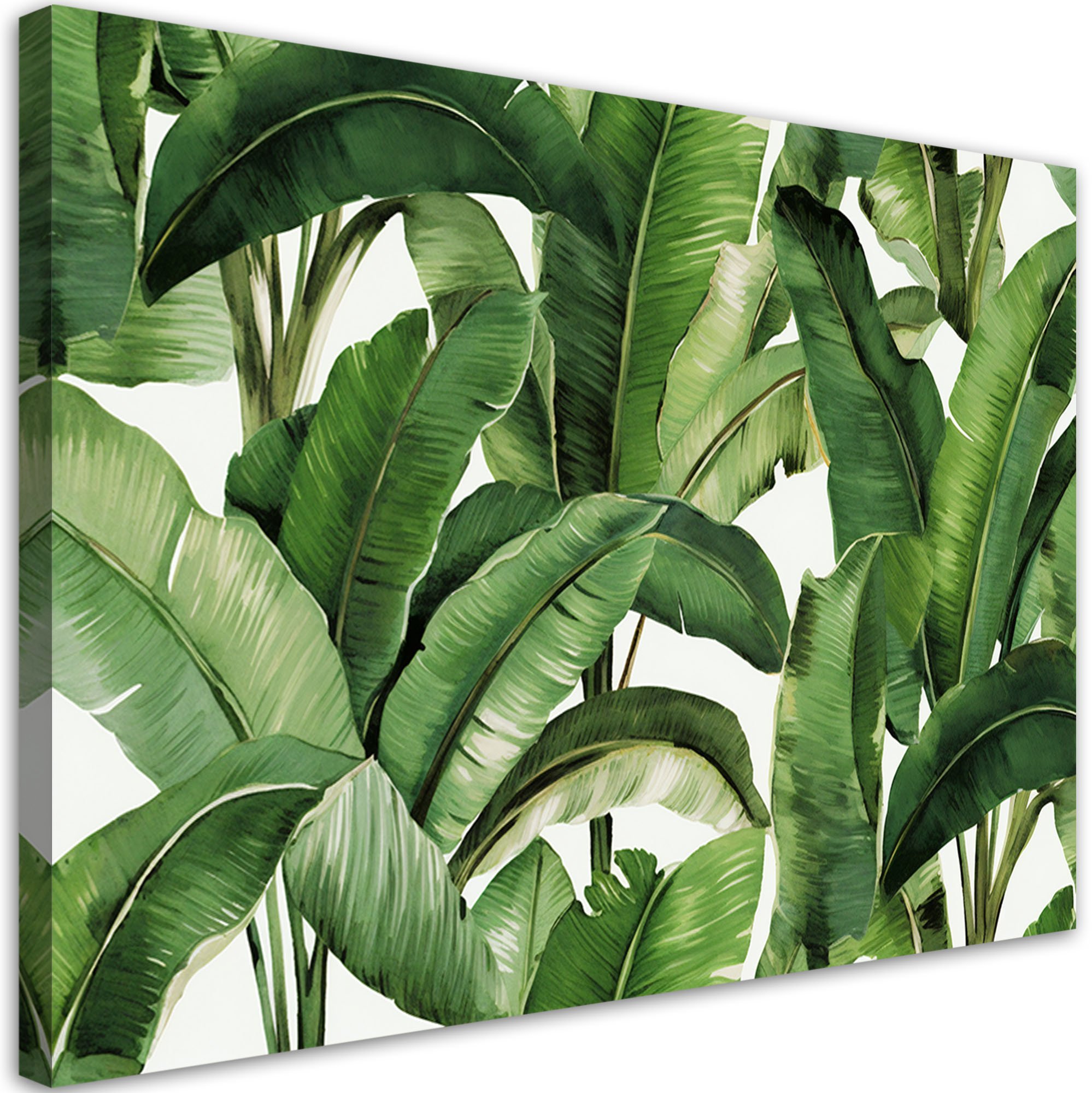 Feeby obraz na płótnie zielone liście tropikalne 60x40 medium