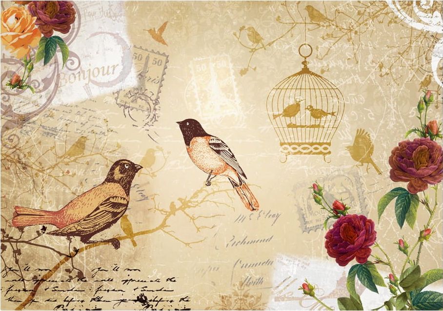 DecoNest Fototapeta - Bonjour - 150X105