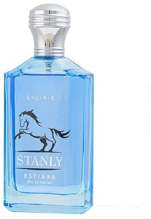 Estiara Stanly woda perfumowana spray 100ml