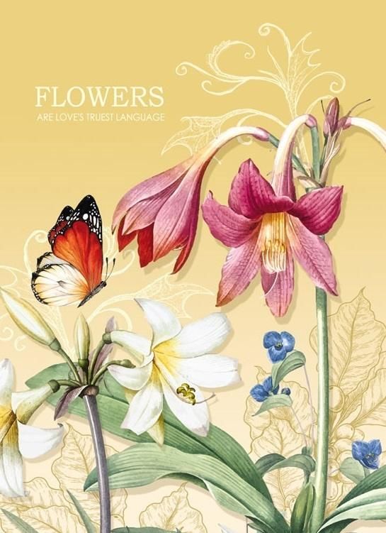 Fresh Notatnik ozdobny 145x197/64K kratka TW Motyl