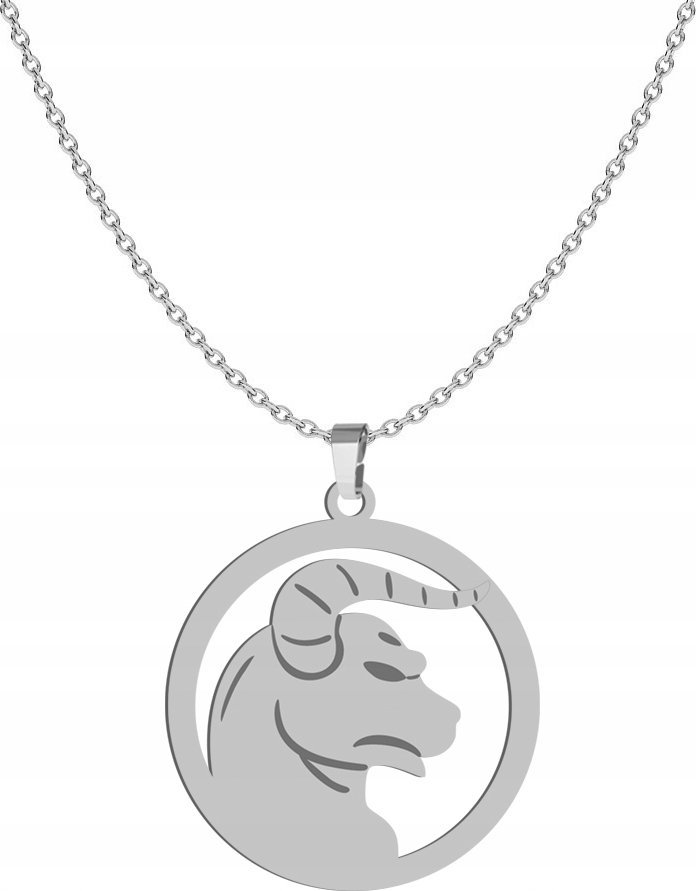 Radziszewska Jewellery Srebrny Naszyjnik Znak Zodiaku BYK GRAWER GRATIS