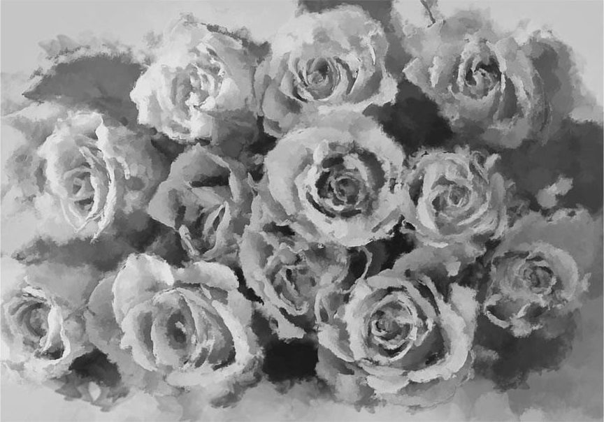 DecoNest Fototapeta - A dozen roses - 250X193