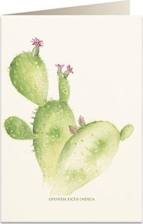 Tassotti Karnet B6 + koperta 5987 Opuncja