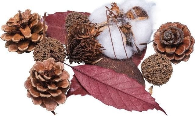 BREWIS Susz dekoracyjny 30~40g SD 4