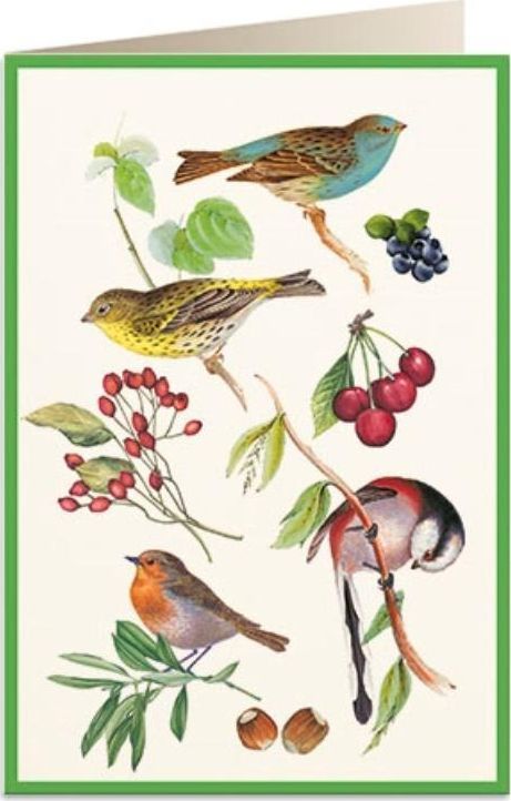 Tassotti Karnet B6 + koperta 5928 Ptaszki