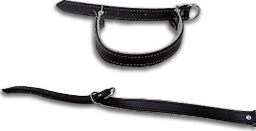 UN KOLCZATKA SKÃRA DUÅ»A