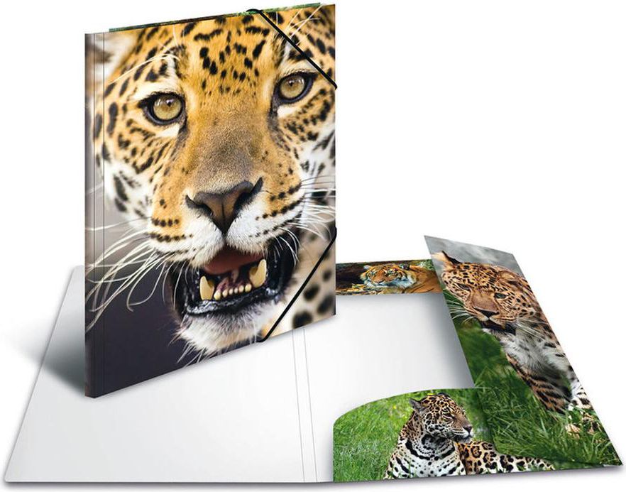 Herma Teczka A4 (7137)