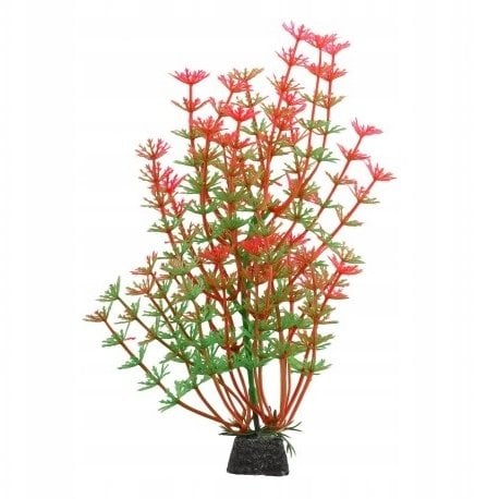 Aqua Natura, roślina, do dekoracji akwarium, zielono-czerwone, plastikowa, 20 cm , pędy kopru