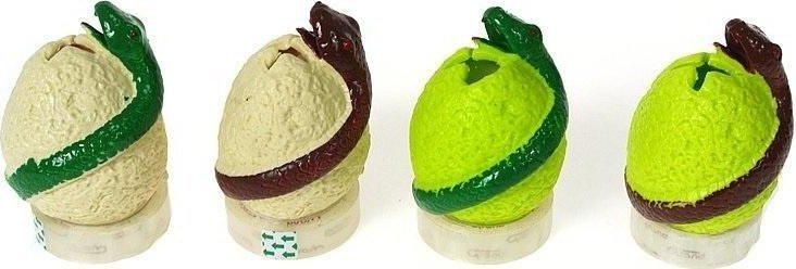 Gniotek Jajo węża MIX