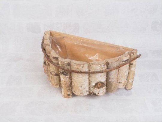 Wnuk Donica brzozowa (Półokrągła/38cm)