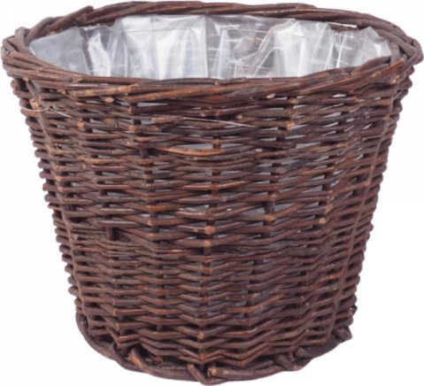 Wnuk Donica (Skośna/25 cm)