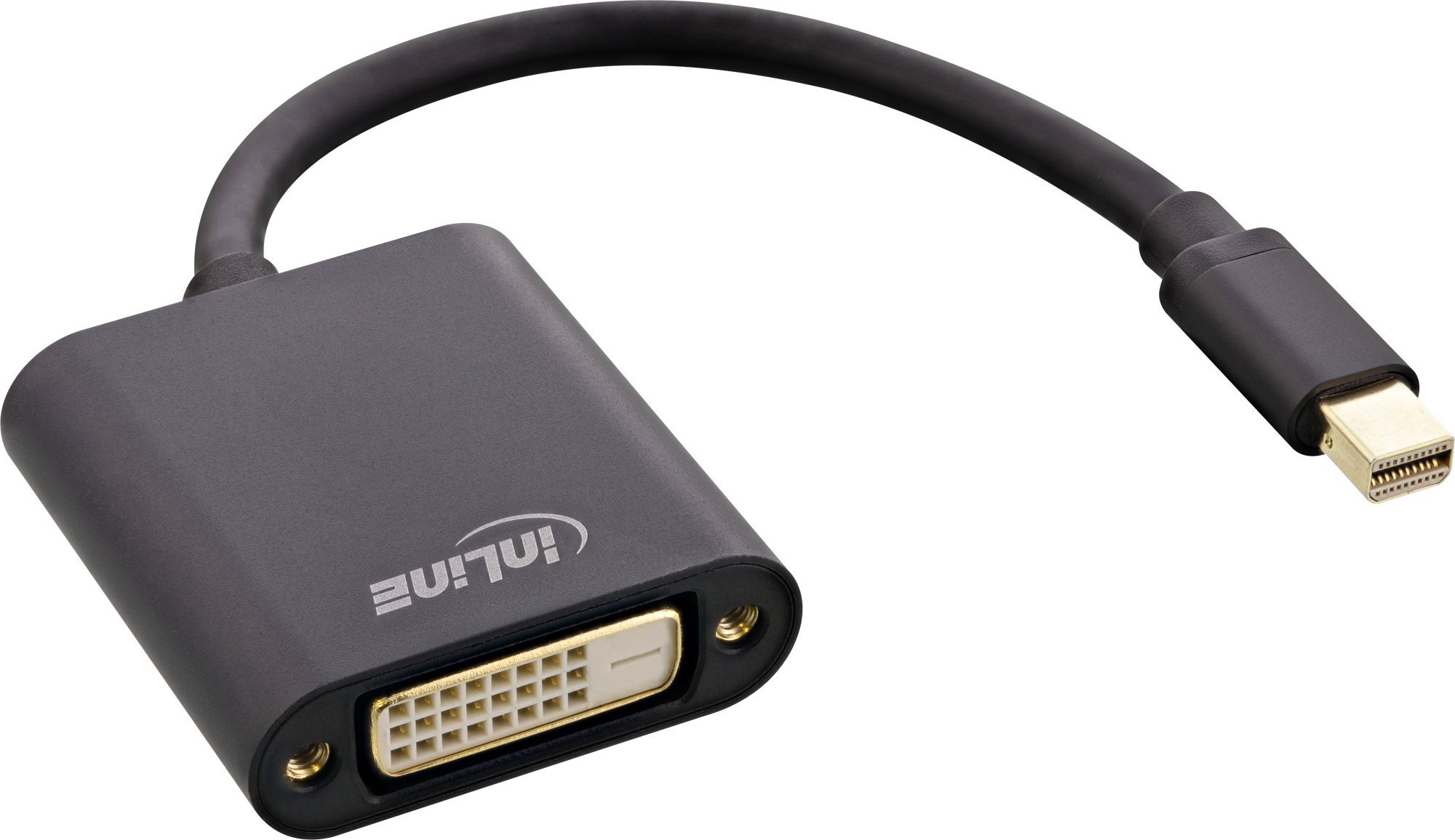 Adapter AV InLine DisplayPort Mini - DVI-D czarny (17194S)