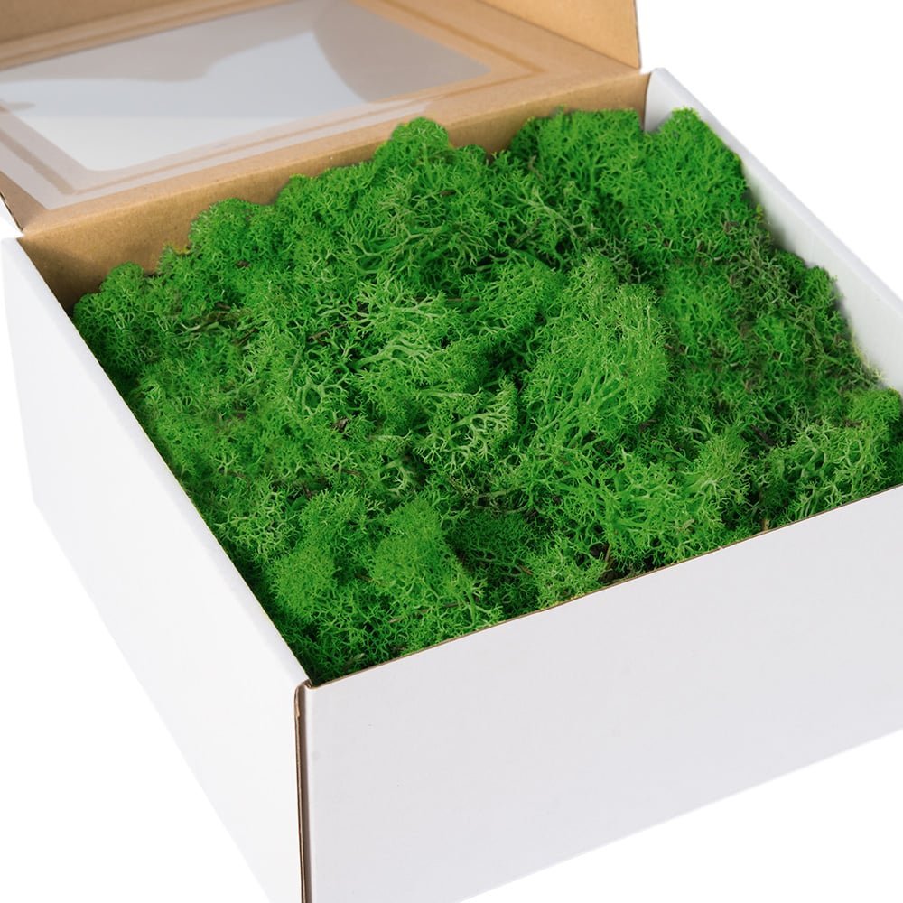 MECH CHROBOTEK 200g dekoracyjny na STROIK wielkanocny OZDOBY świąteczne