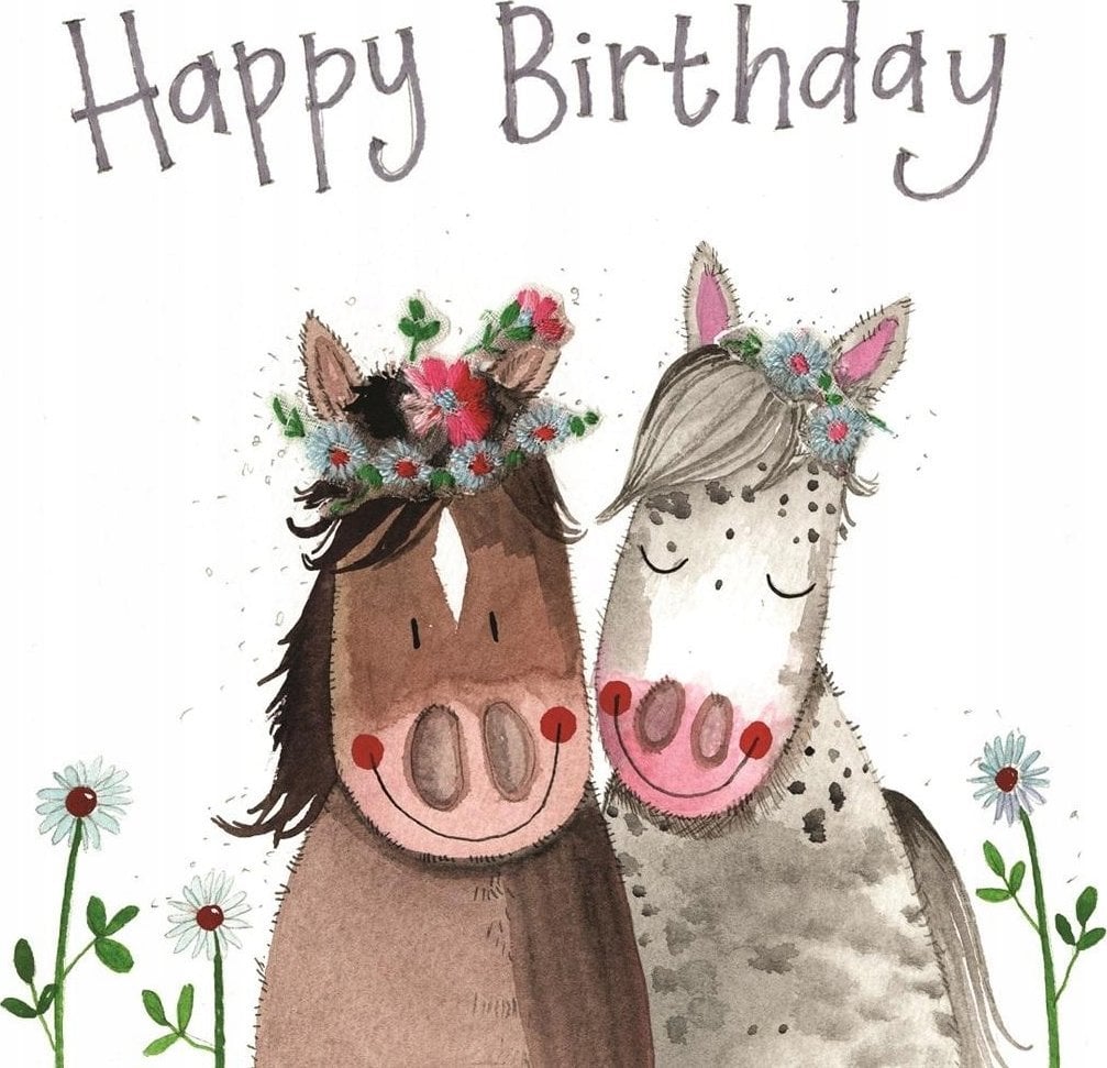 Teka Karnet Urodziny S381 U¶miechnięte konie