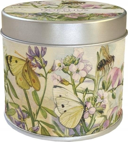 Teka Zapachowa ¶wieczka 227 ł±ka - zapach fiołkowy