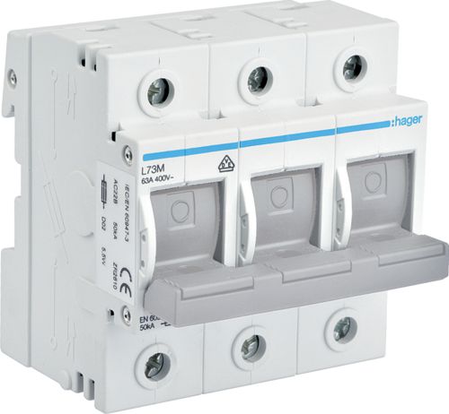 Hager Rozłącznik bezpiecznikowy poziomy D02 3P 63A (L73M)