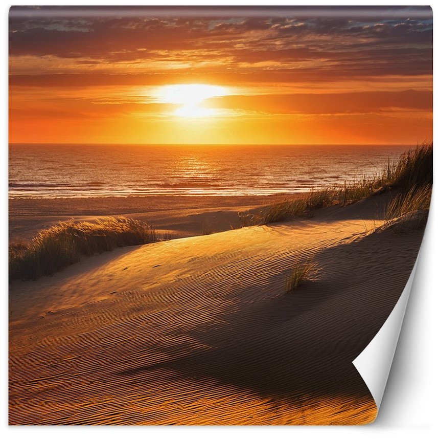 Feeby Fototapeta Zachód Słońca Plaża Natura 300x300 large