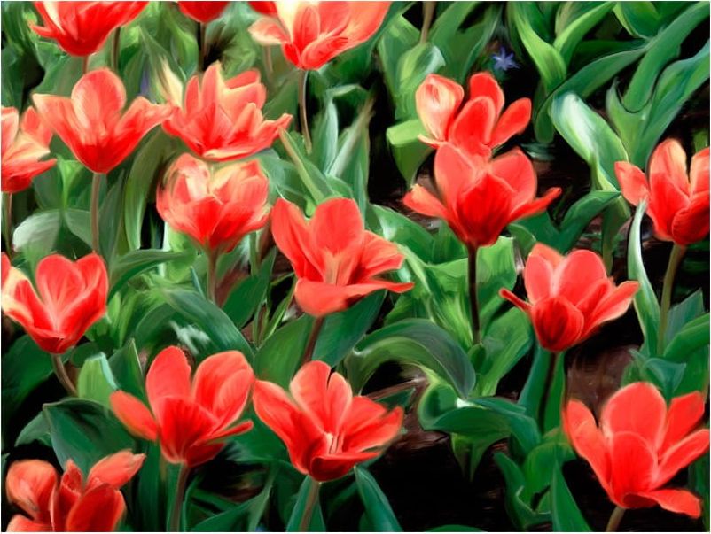 DecoNest Fototapeta - Painted flowers - 400X309