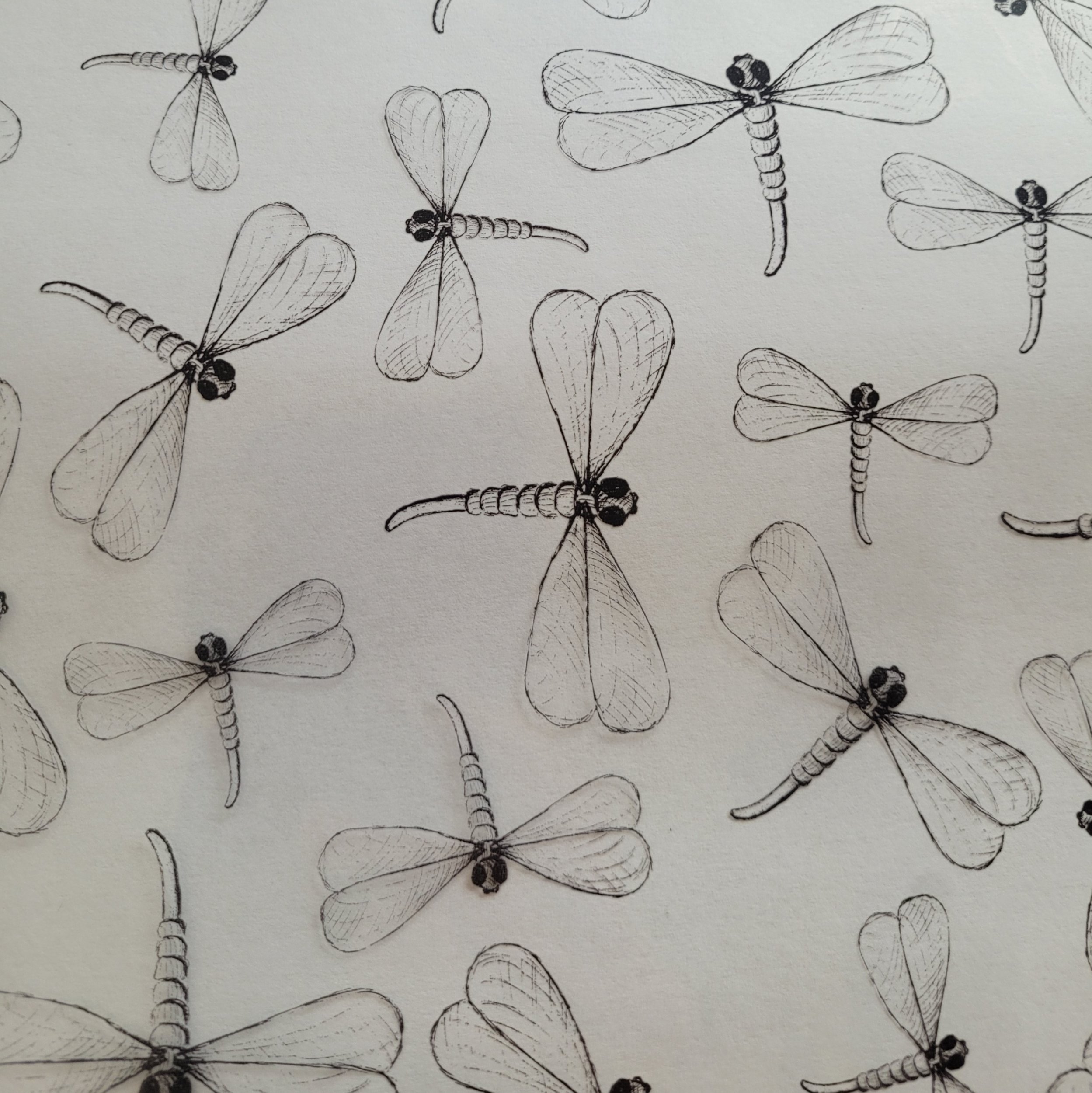 Folia świąteczna do pakowania prezentów 70cmx2m Fm8 celofan boże narodzenie