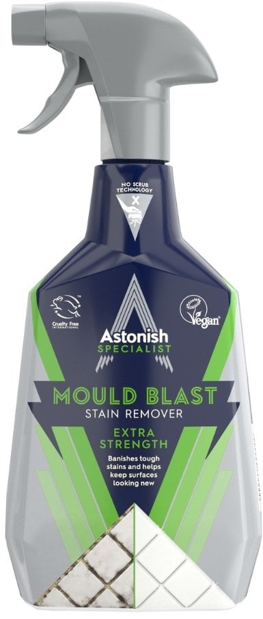 EXTRA STRENGTH MOULD STAIN REMOVER 750ML
