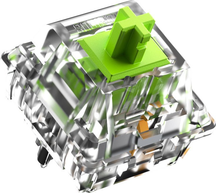 Glorious Glorious Raptor Standard Switch, mechanisch, 5-Pin, clicky, MX-Stem, 55g - lubed, 36 Stck